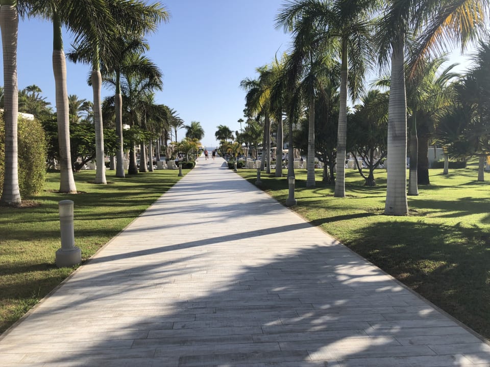 Gartenanlage Hotel Riu Palace Meloneras