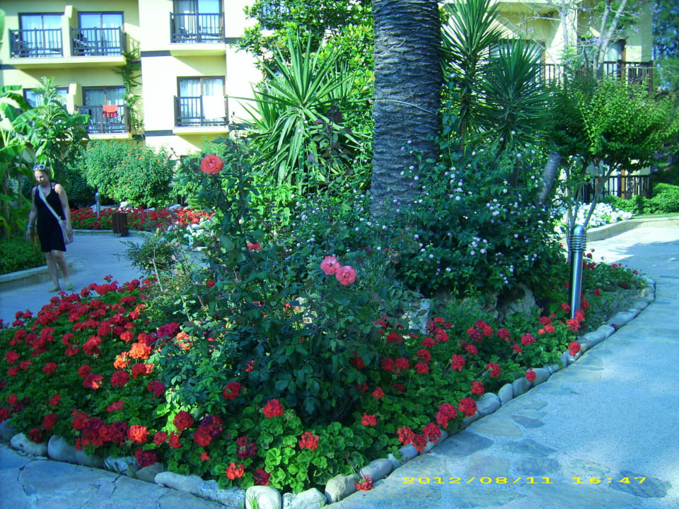 Viel Natur im Alba Alba Resort Hotel