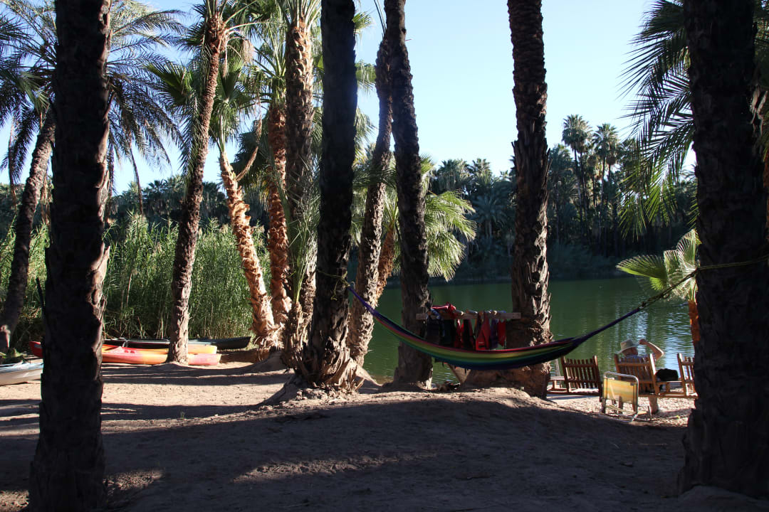 Strand Bed & Breakfast Ignacio Springs