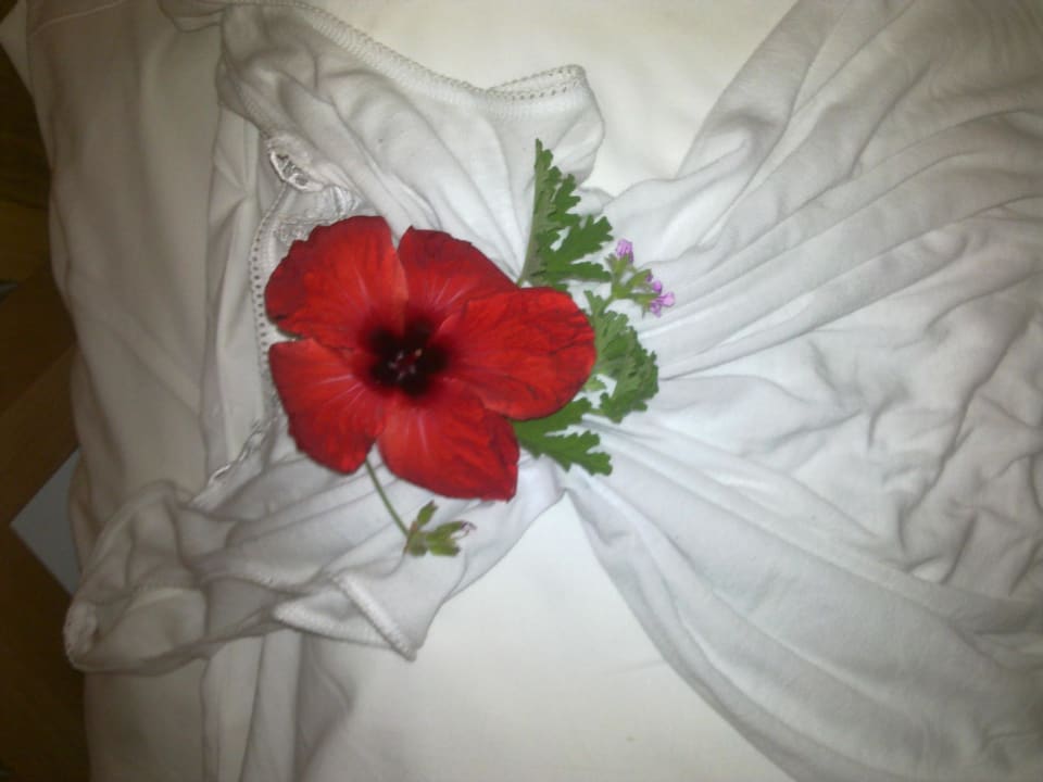 Liebevolle Deko  The Orangers Beach Resort and Bungalows