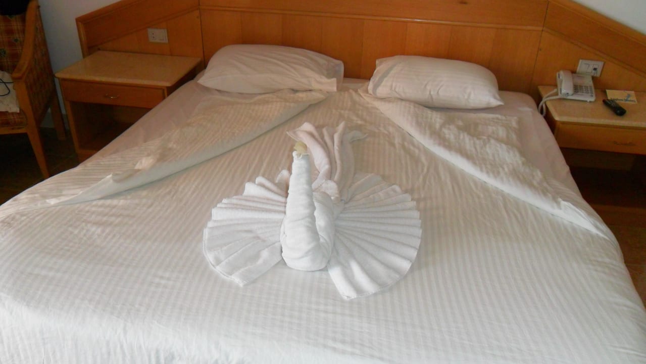 Zimmer Beach Albatros Resort