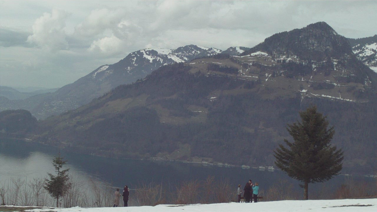 Blick auf Gersau Seeblick Höhenhotel
