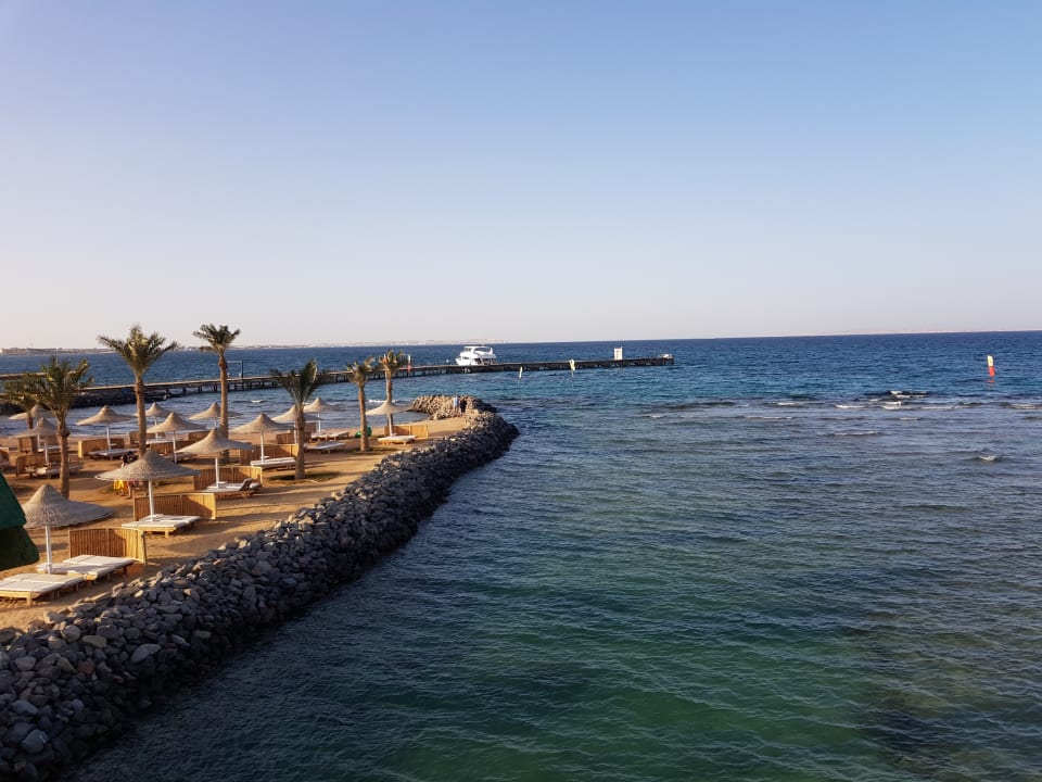 Ausblick Desert Rose