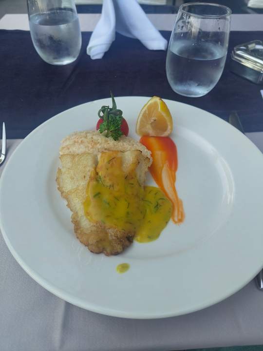 Gastro Seashell Vega