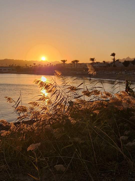 Strand Amarina Abu Soma Resort & Aquapark