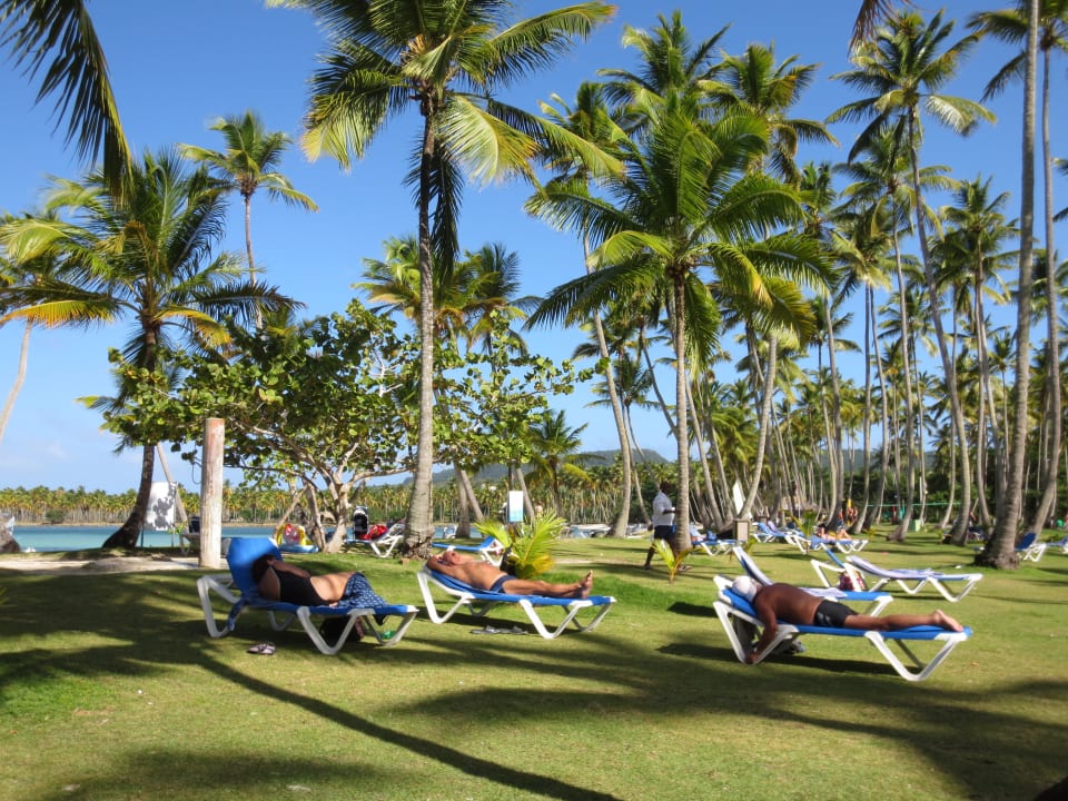 Strandliegewiese Wyndham Alltra Samana