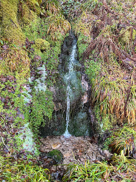 Außenansicht Wellnesshotel Forsthaus Auerhahn