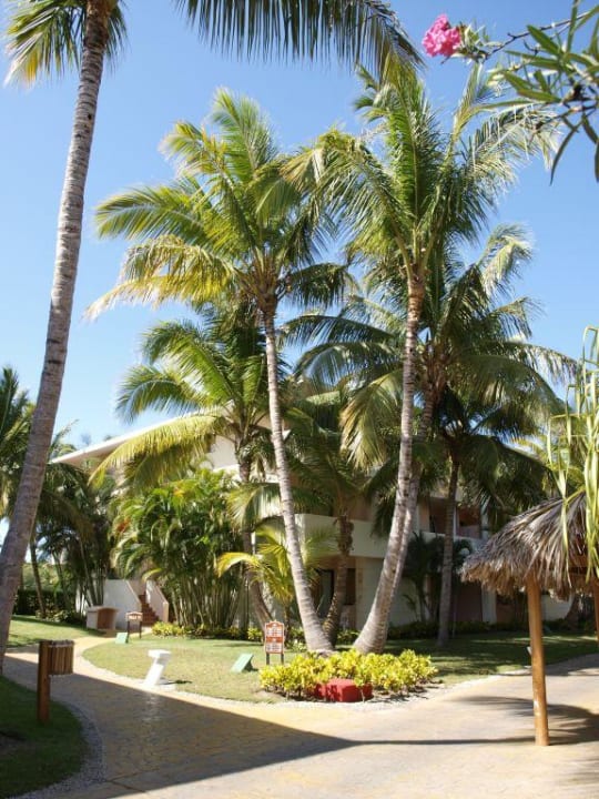 Gebäude 11 (oder 15) Catalonia Punta Cana - All Inclusive