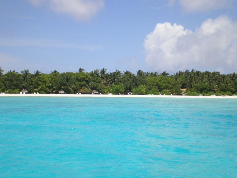 Blick auf die Ostseite der Insel Summer Island Maldives