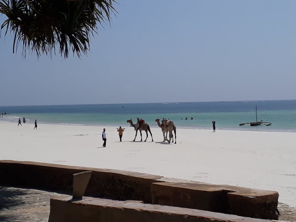 Strand Neptune Village Beach Resort & Spa