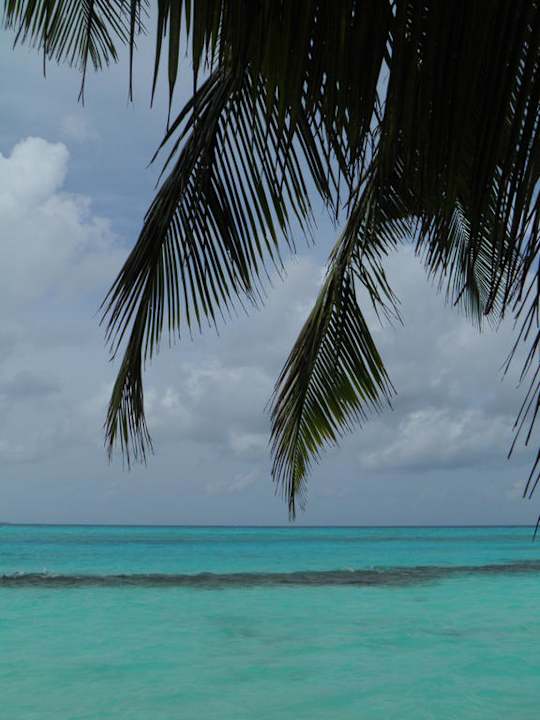 Typisches Maledivenmotiv Summer Island Maldives