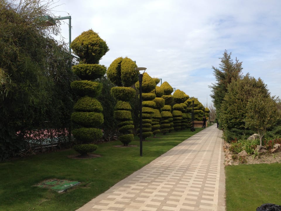 Дорога к морю Concorde De Luxe Resort