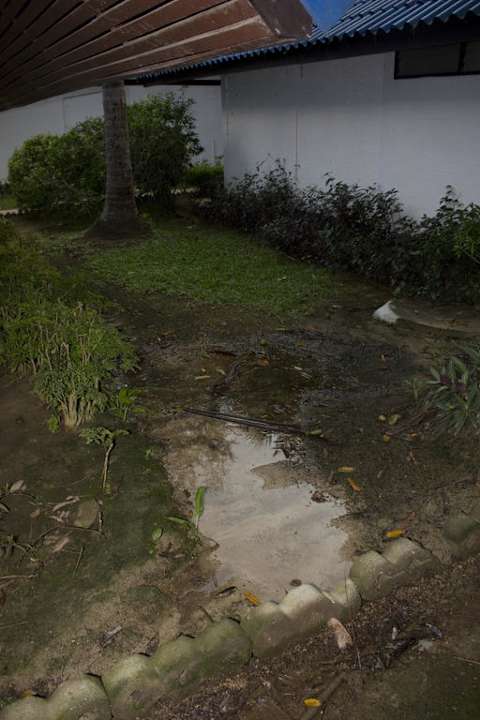 Gepflegte Gartenanlage Hotel Coral Island Resort