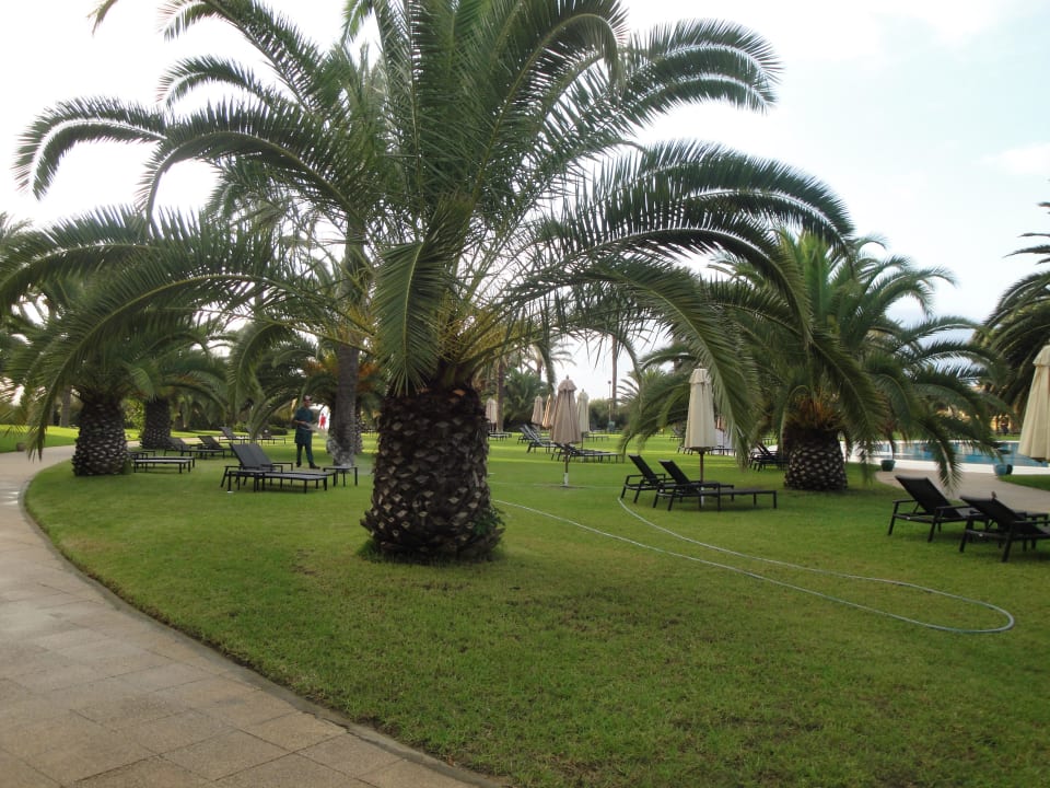 Taufrisch! Oceana Hotel & Spa