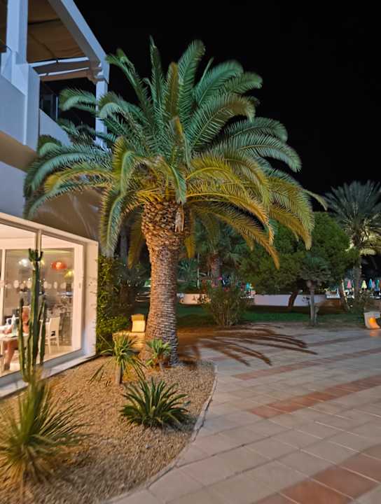 Gartenanlage Djerba Plaza Thalasso & Spa