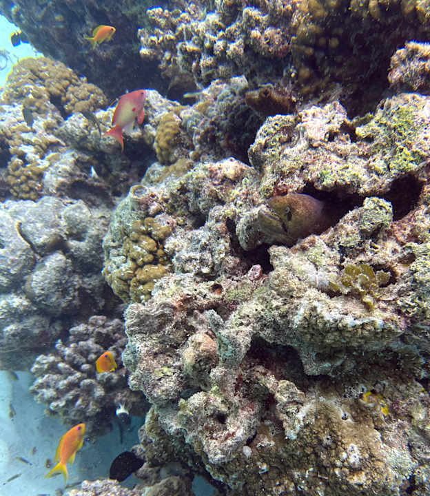 Sport & Freizeit Ocean Paradise Resort & Spa