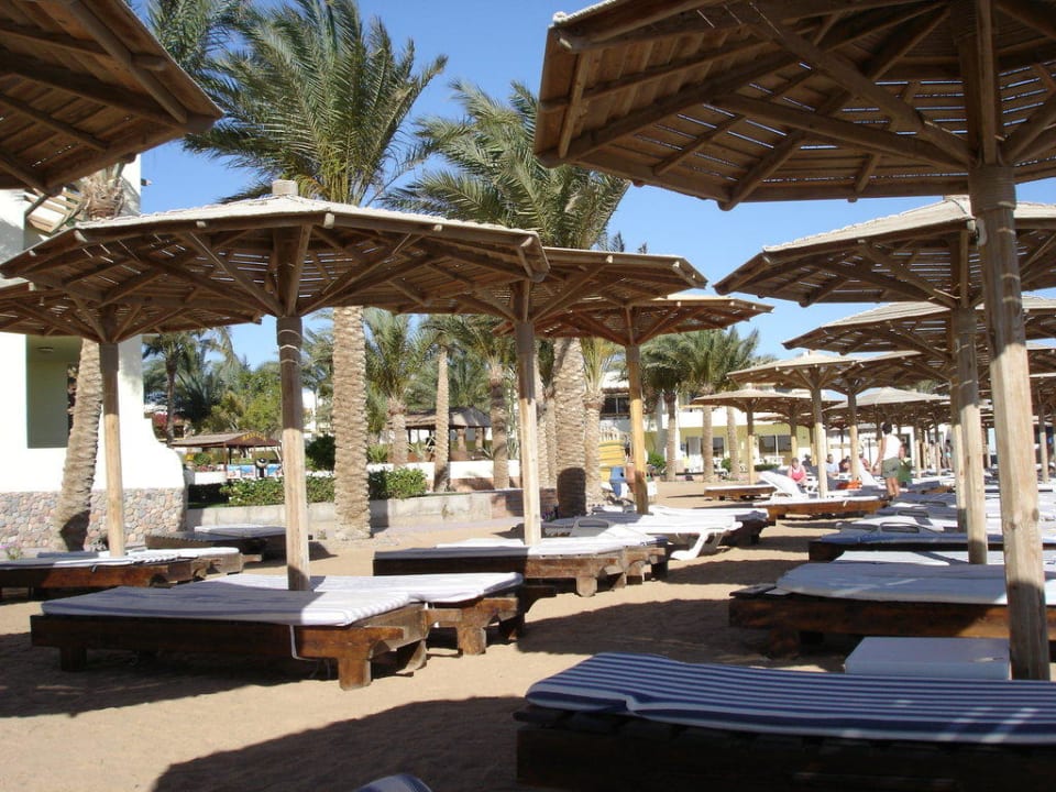 Liegefläche am Strand Palm Beach Resort