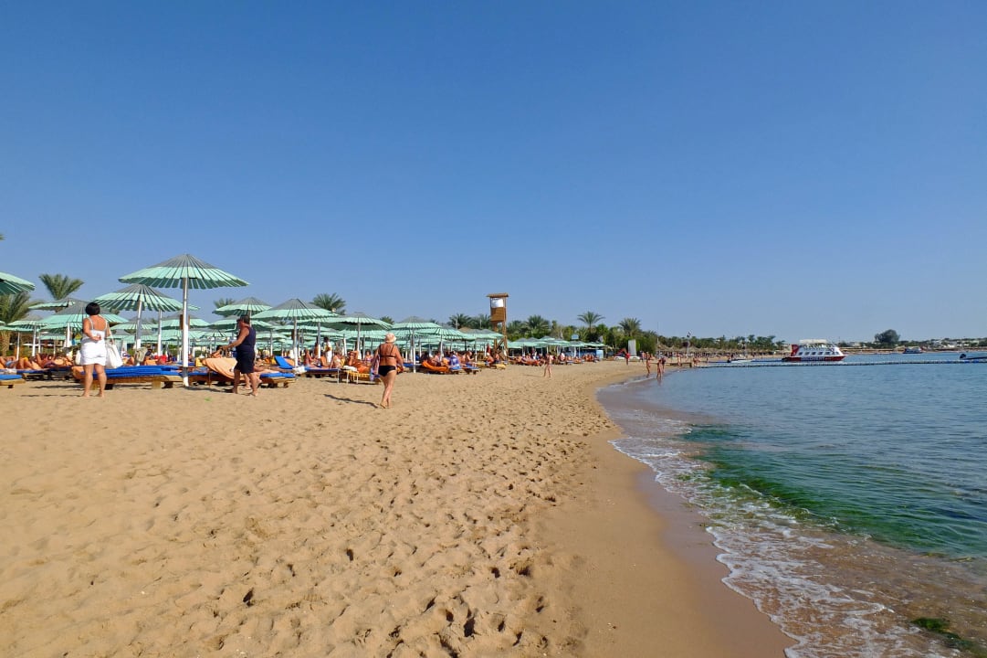 Ghazala Strand Ghazala Gardens