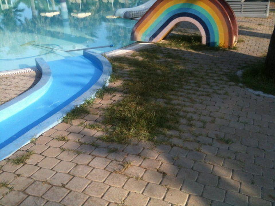 Der Gärtner hat schon länger Urlaub TUI KIDS CLUB Alex Beach