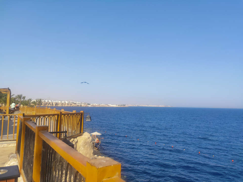 Ausblick The Grand Hotel Sharm El Sheikh