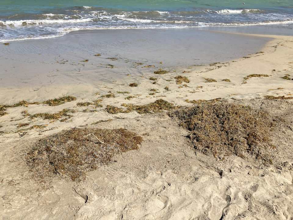 Strand Viva Miches by Wyndham