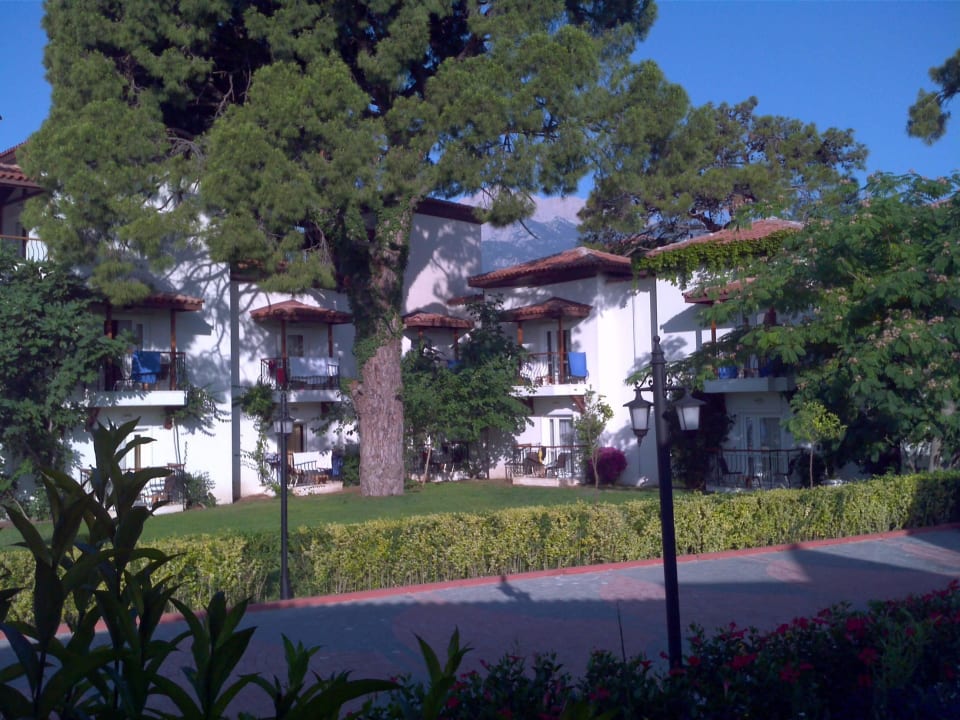 Бунгало Club Marco Polo