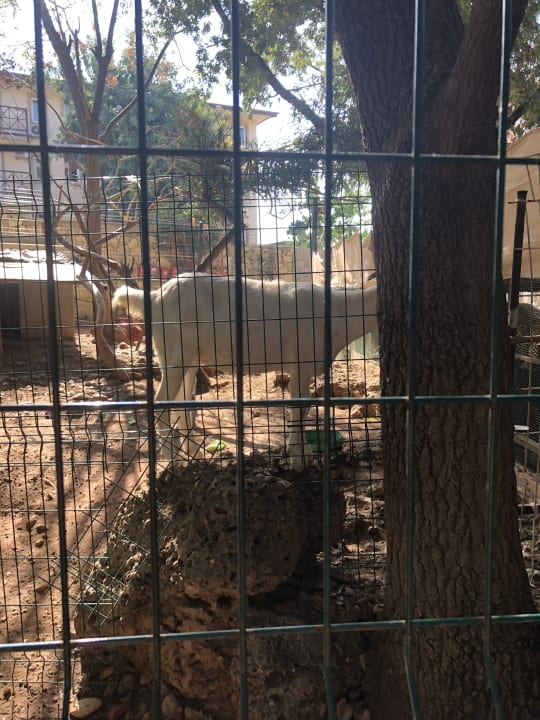 Sport & Freizeit Lonicera Resort & Spa Hotel