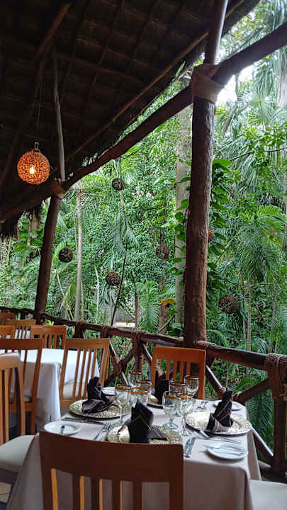 Gastro Viva Azteca by Wyndham - All Inclusive Resort