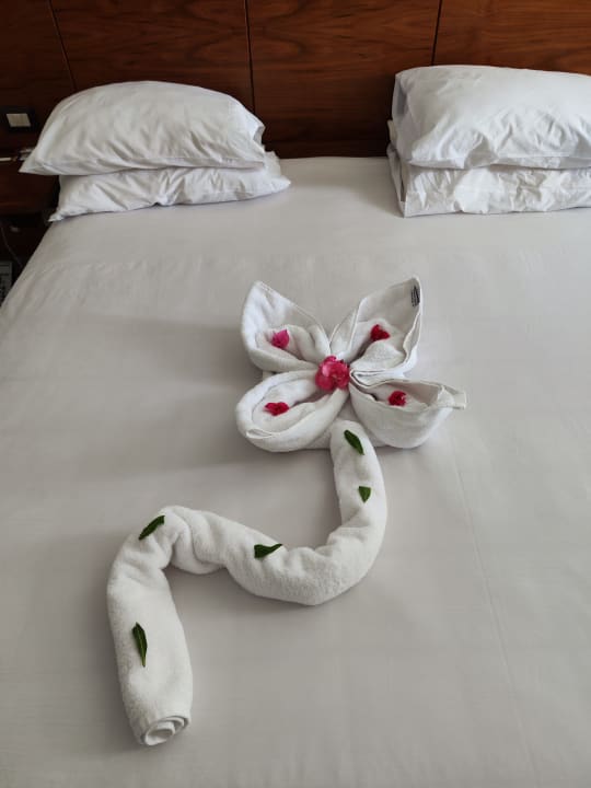 Zimmer Stella Garden Resort & Spa, Makadi Bay