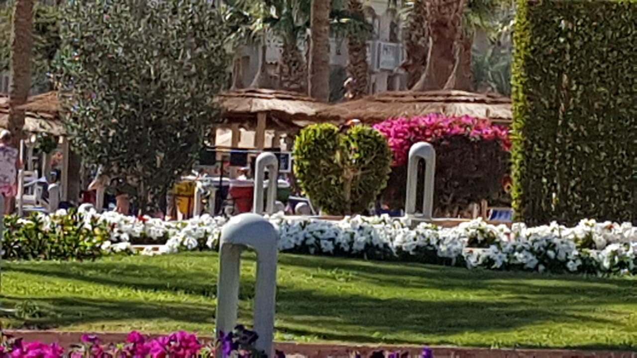 Außenansicht Pickalbatros Palace Resort