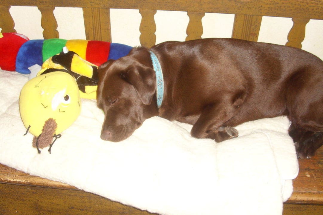 Haus Hund Wellnesshotel Urihof