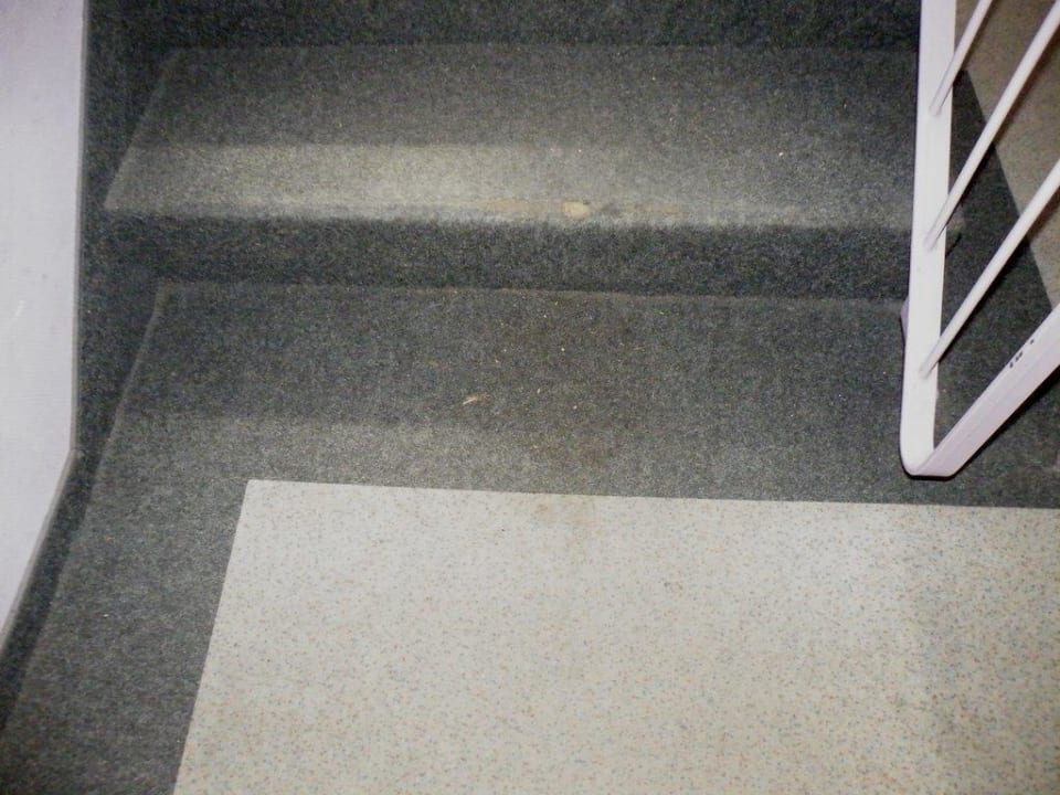 Defekte und stark Auslegware auf den Treppenstufe Vital-Hotel am Thüringer Wald