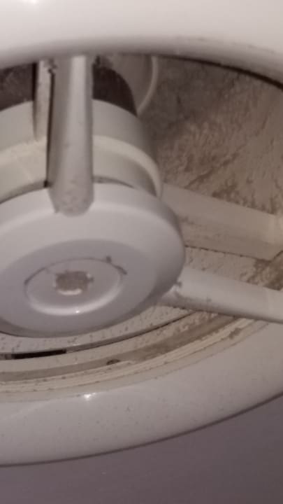 Zimmer Can Garden Beach