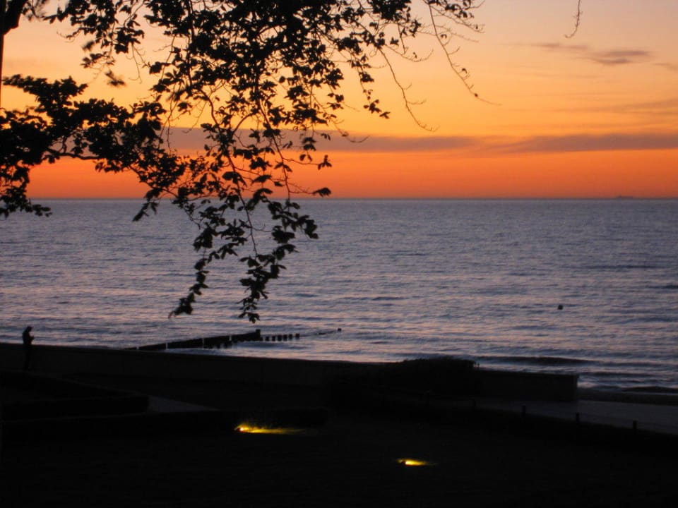 Ausblick aus Parkblickzimmer im Haupthaus Grand Hotel Heiligendamm - The Leading Hotels of the World