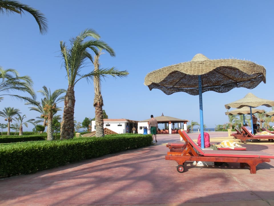 Poolbar im Hintergrund Fantazia Resort Marsa Alam