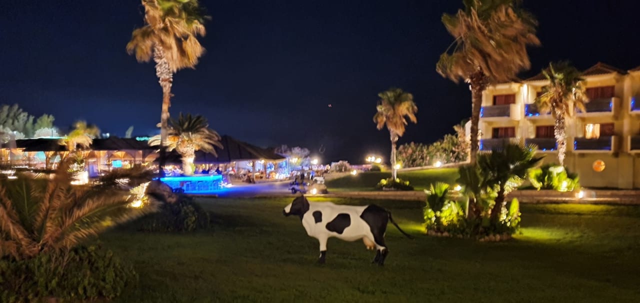 Gartenanlage Hotel Kalithea Horizon Royal