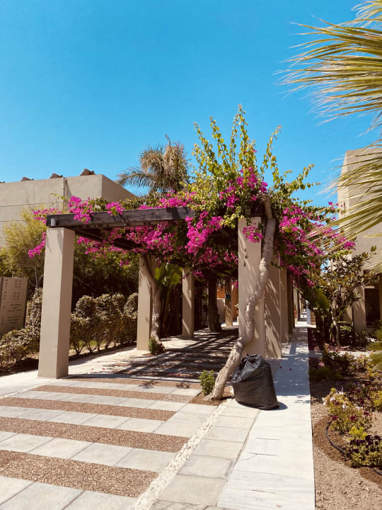 Gartenanlage Astir Odysseus Kos Resort & Spa