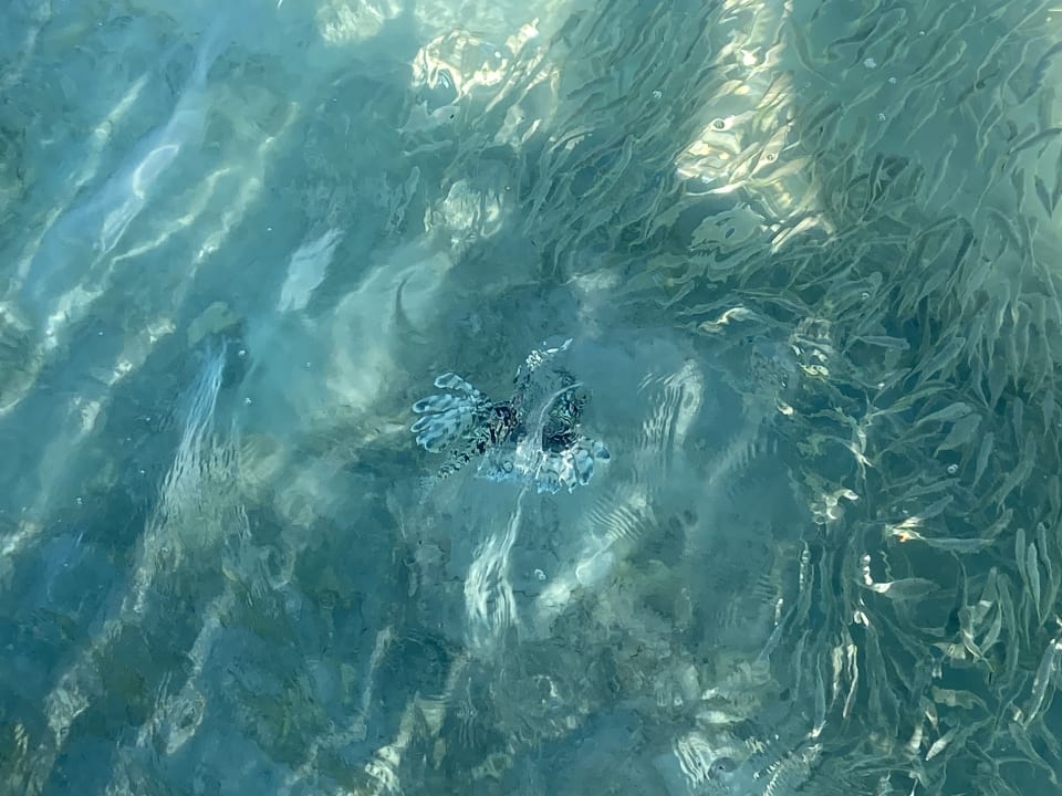 Strand Casa Mare Resort