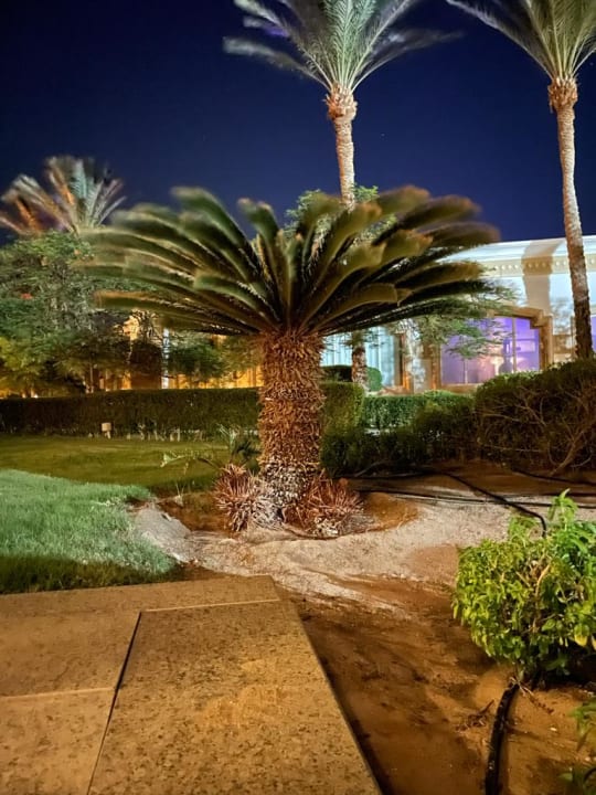 Gartenanlage Palm Royale Resort - Soma Bay