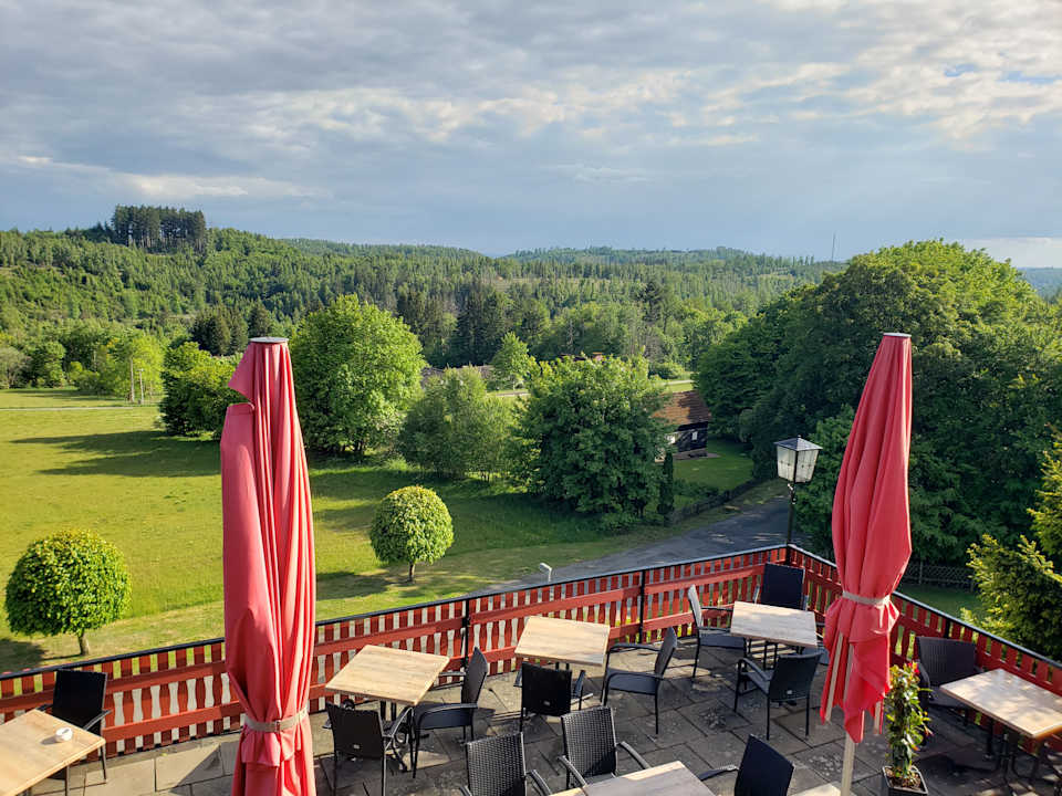 Ausblick Harmonie Hotel Rust