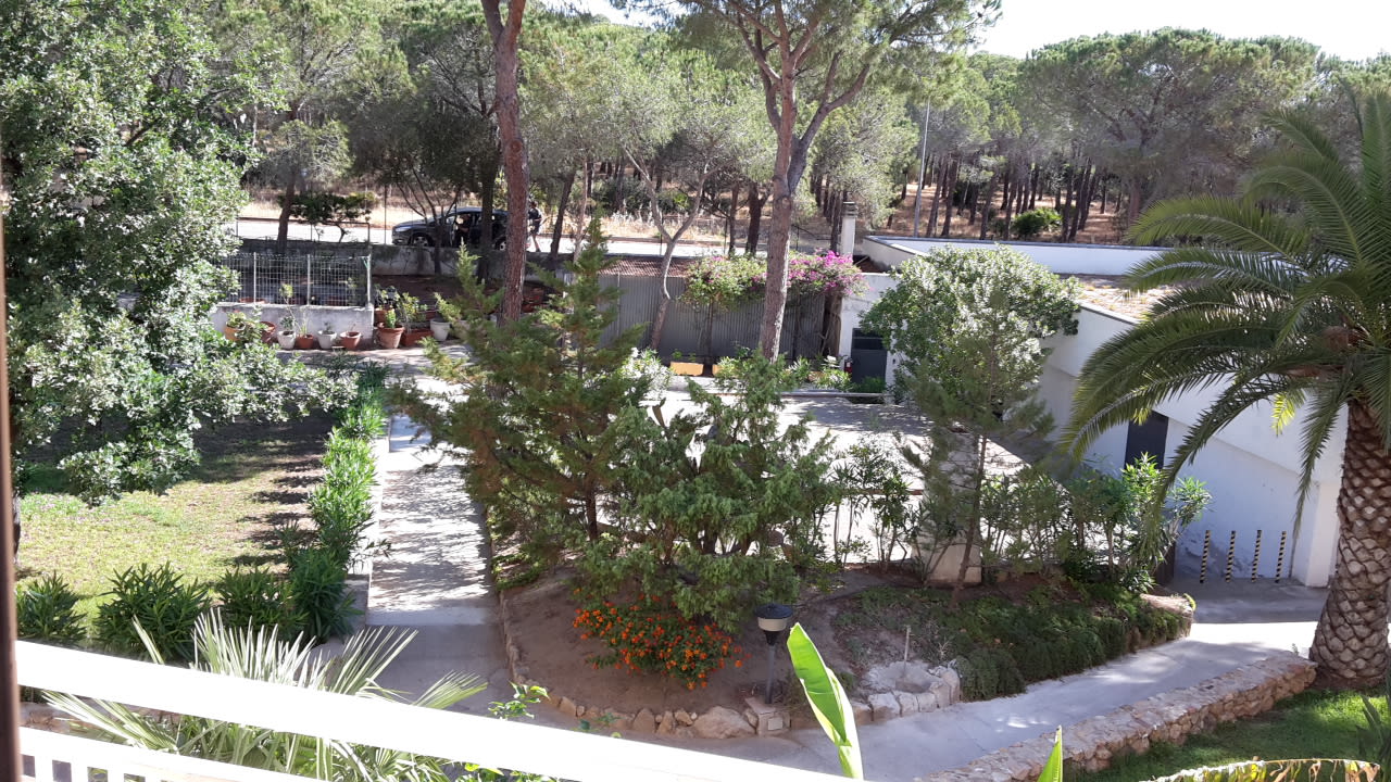 Ausblick Tirreno Resort