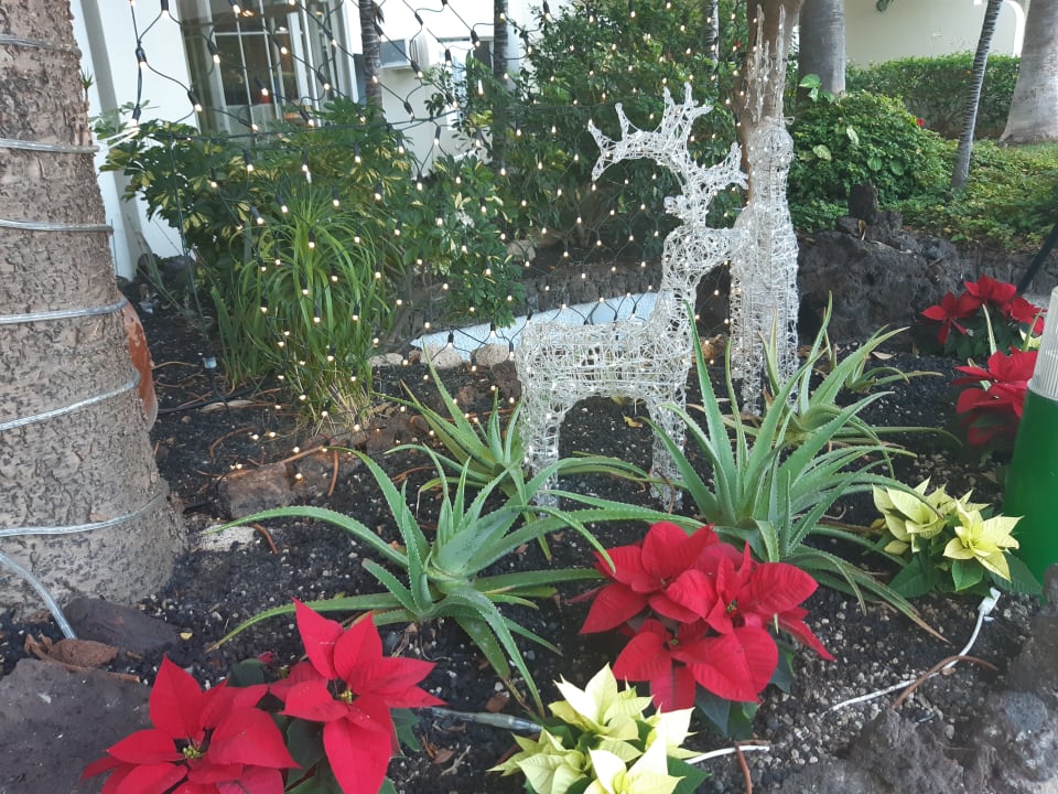 Außenansicht H10 Las Palmeras