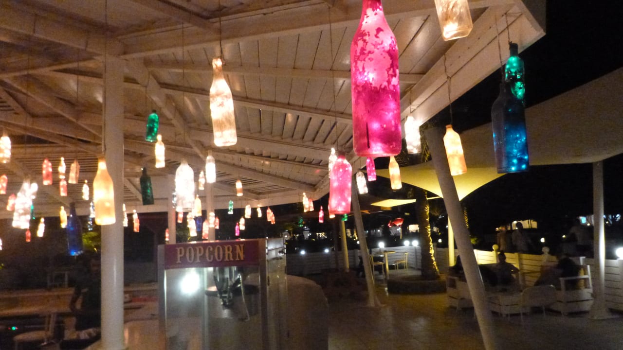 Sport & Freizeit Desert Rose