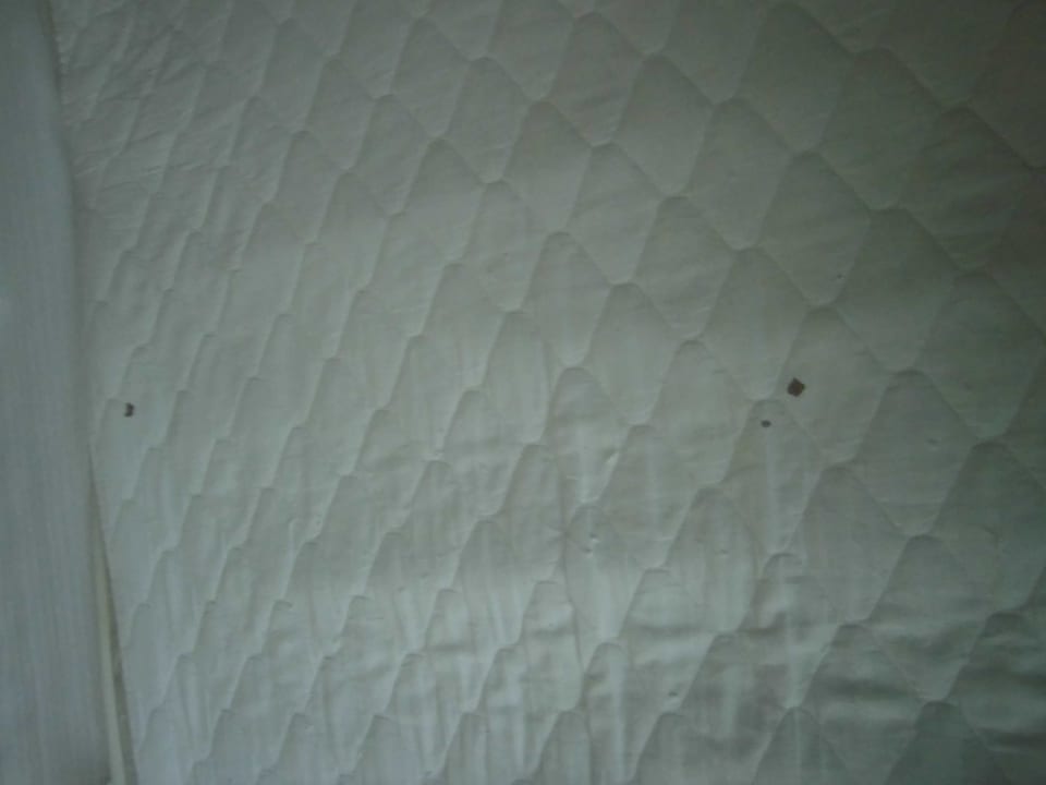 Blutflecken auf dem Matrazenschoner Royal Wings Hotel