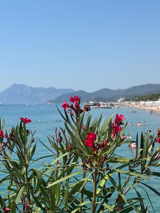 Strand Rixos Premium Tekirova