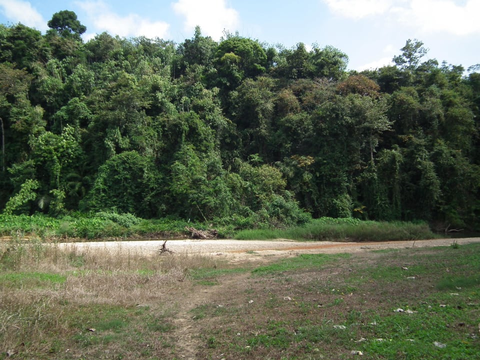 Blick zum Fluss Hotel Khao Sok River Cottages