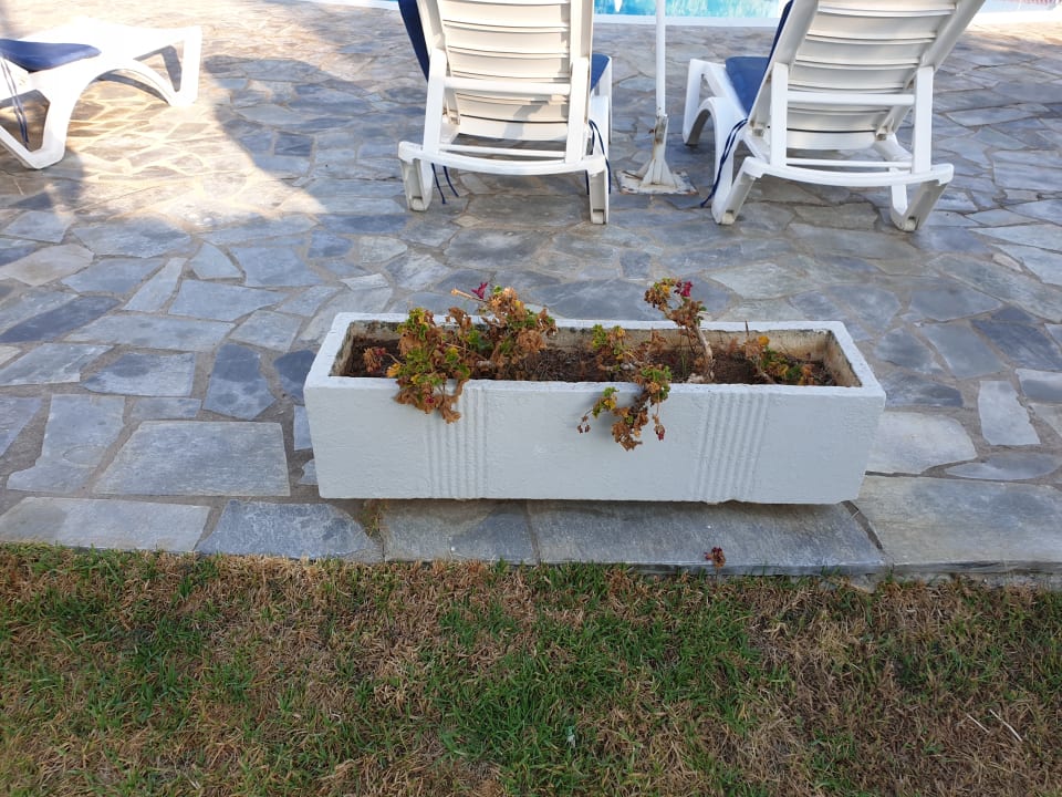 Garten Hotel Albatros