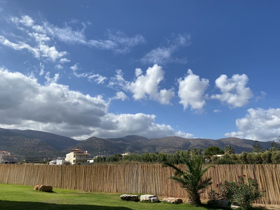 Gartenanlage allsun Hotel Carolina Mare