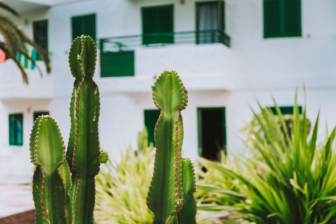 Gartenanlage Servatur Playa Bonita
