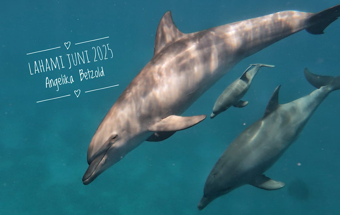 Strand Lahami Bay Beach Resort